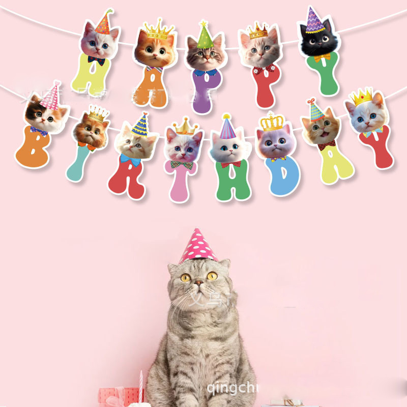 Cat Face Hanging Swirl Decorat - Pet Supplies First ulasan dan harga