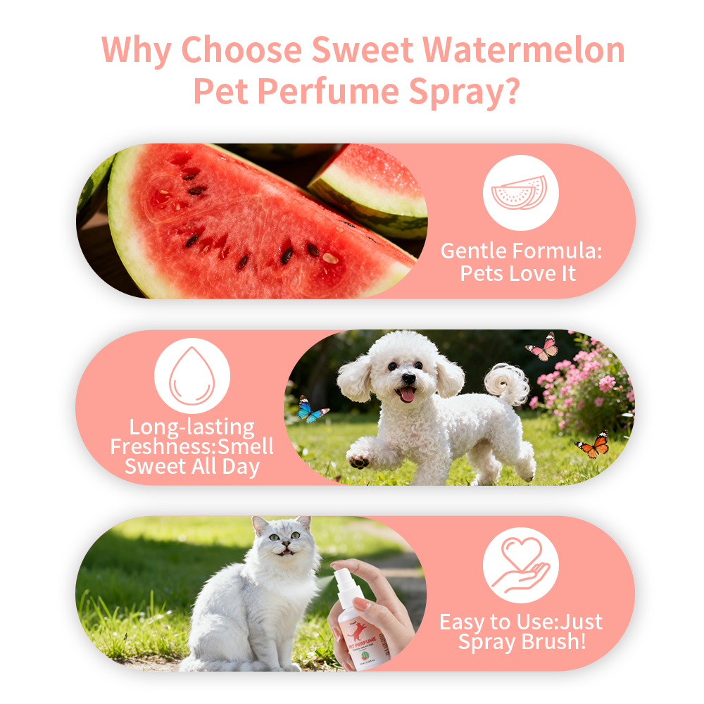 Watermelon Scent Pet Perfume C - Pet Cologne Spray ulasan dan harga