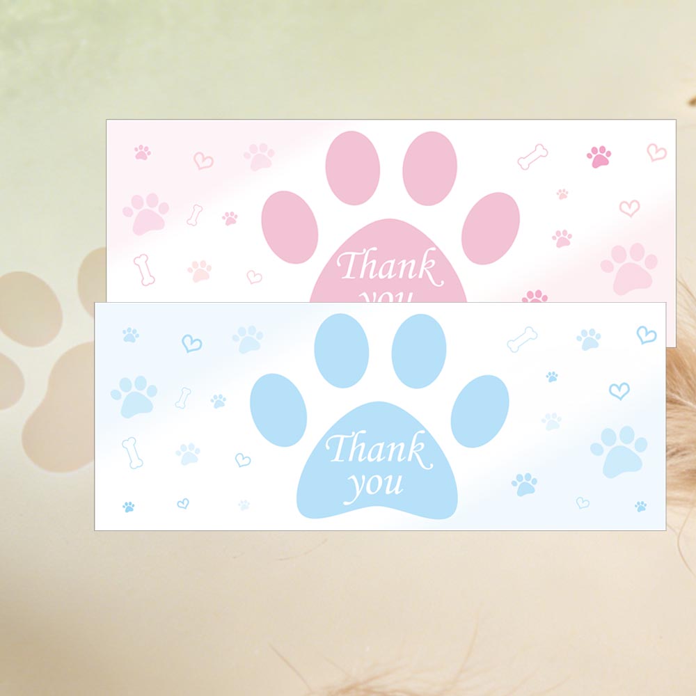 50Pcs Cat Dog Pet Appointment  - Pet Supplies Vet ulasan dan harga