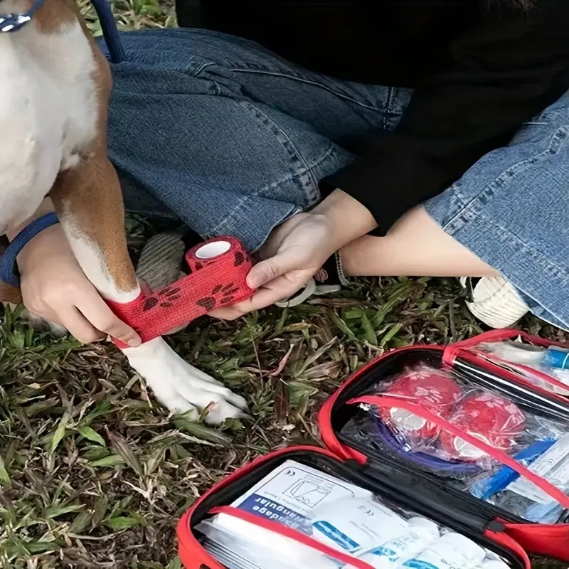 Compact pet First Aid kit for  - Pet Supplies First ulasan dan harga