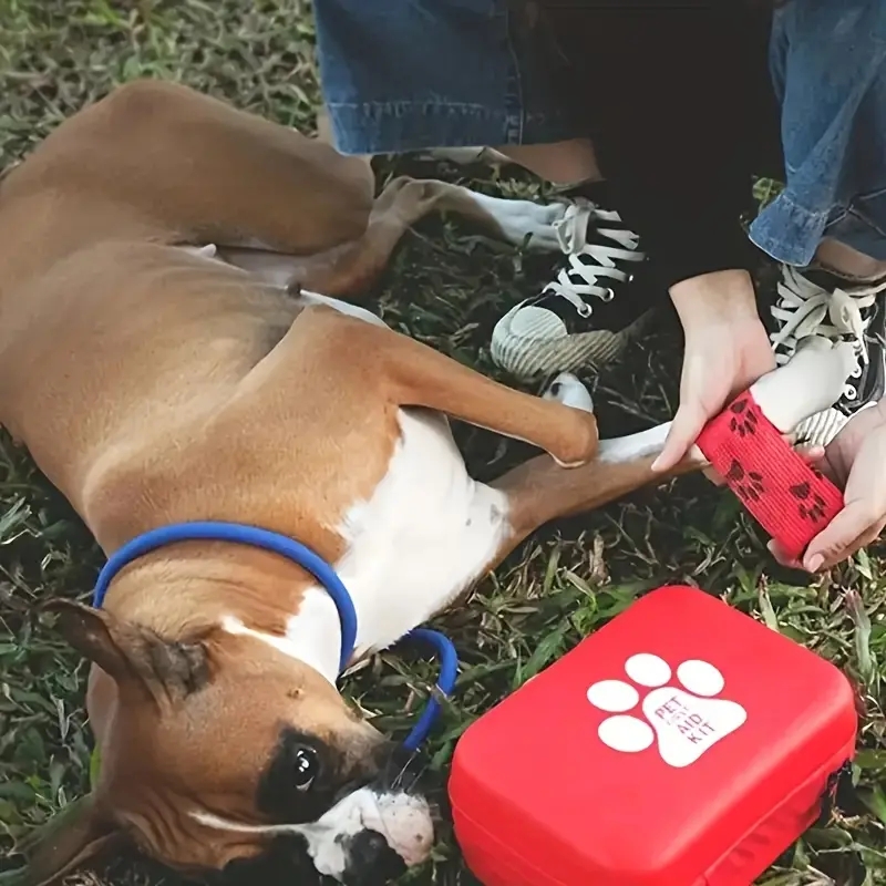 Compact pet First Aid kit for  - Pet Supplies First ulasan dan harga