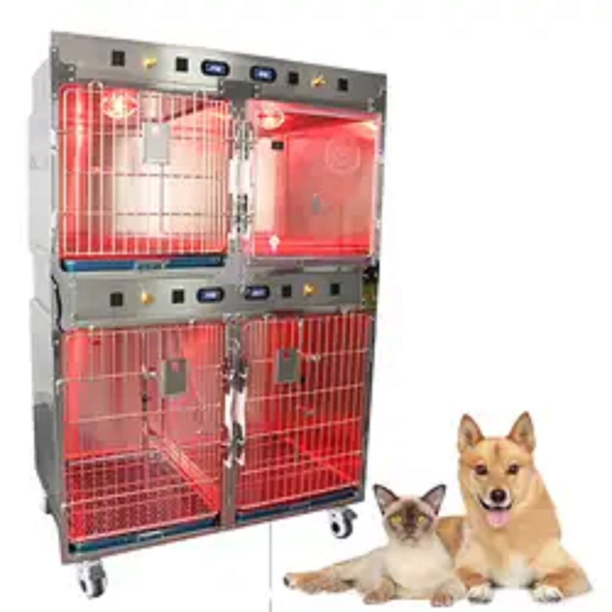 Pet Care Best Selling Cage Cat - Pet Supplies Vet ulasan dan harga