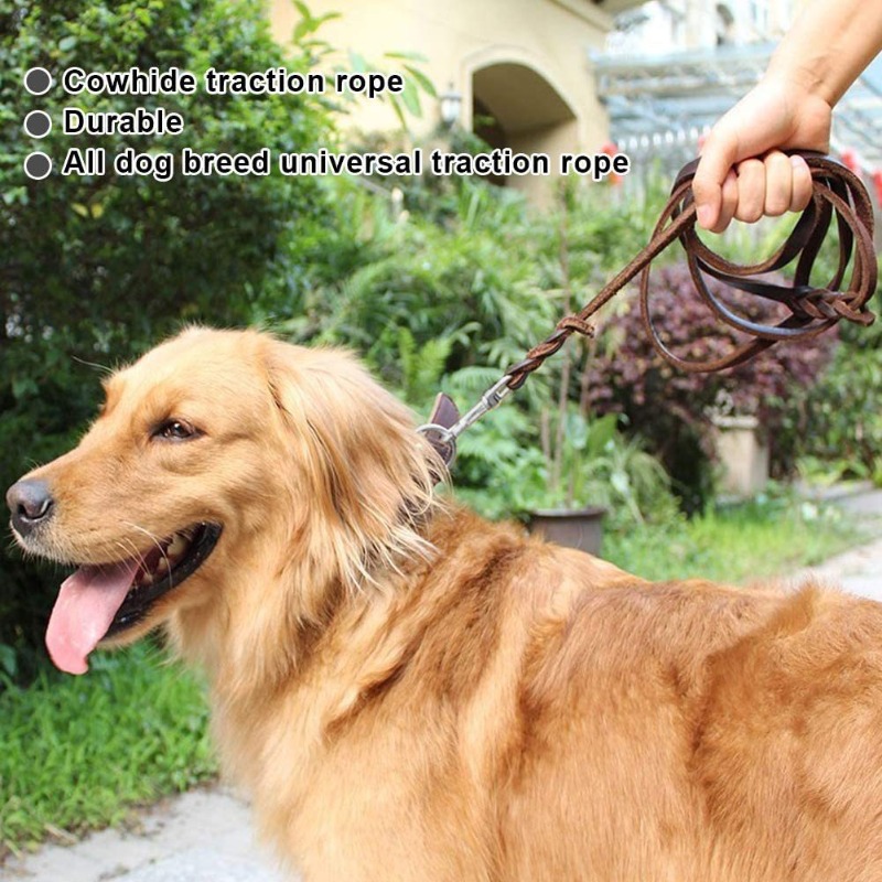 First layer cowhide leash Germ - Pet Supplies First ulasan dan harga