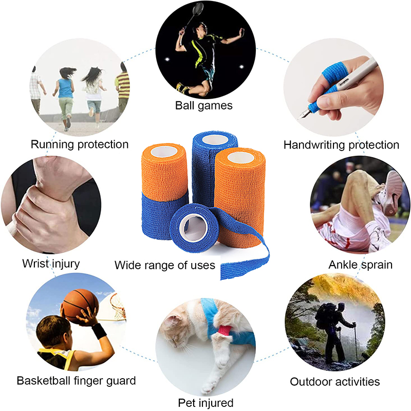 Pexmen 6Colors Self Adhesive B - Pet Supplies First ulasan dan harga